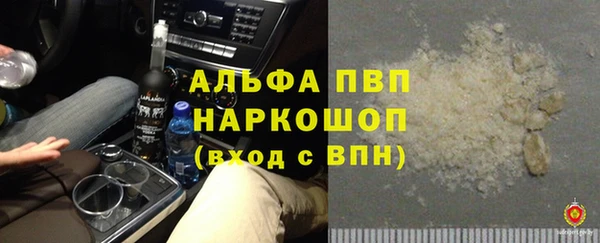 apvp Бородино
