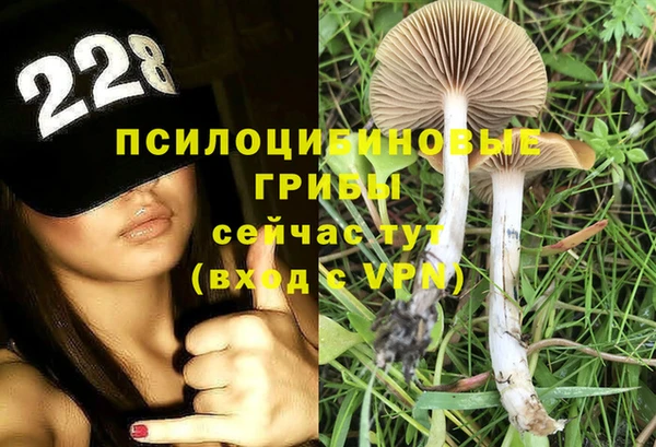 амф Бугульма