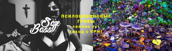 MDMA Premium VHQ Бронницы