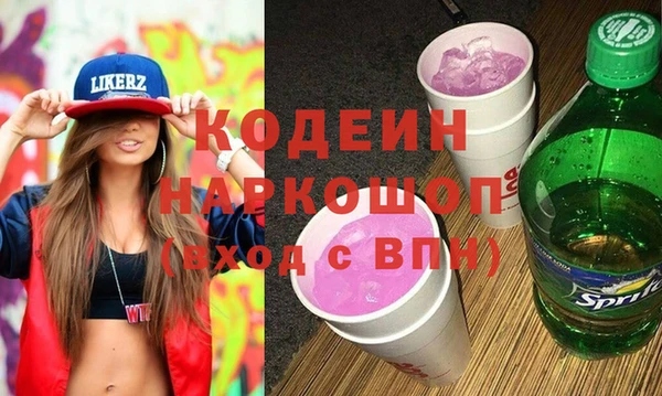 apvp Бородино
