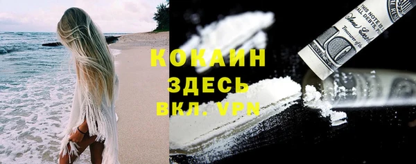 apvp Бородино