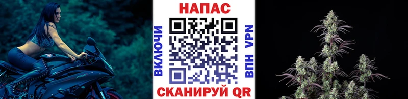 Бошки Шишки семена  магазин продажи наркотиков  ОМГ ОМГ как зайти  Мыски 